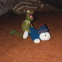 Kermit the frog goin hard